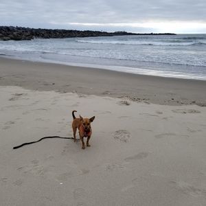 Meet your Posher, Shannon